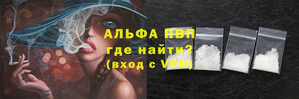 PSILOCYBIN Бронницы