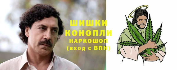 PSILOCYBIN Бронницы