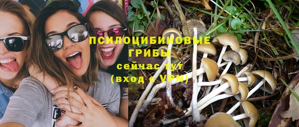 соль курить ск Бородино