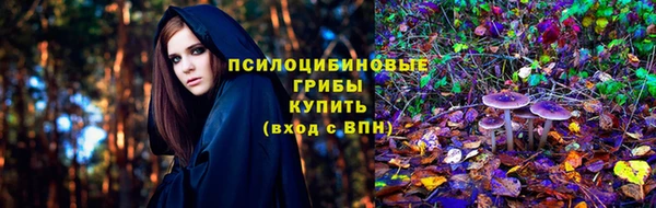 таблы Билибино