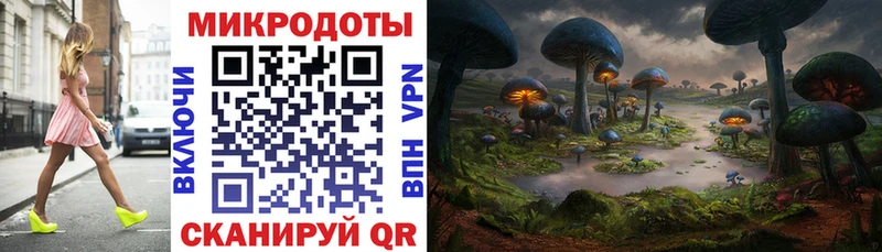 кракен   Видное  Псилоцибиновые грибы GOLDEN TEACHER 